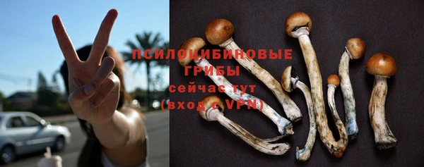 сатива Алзамай