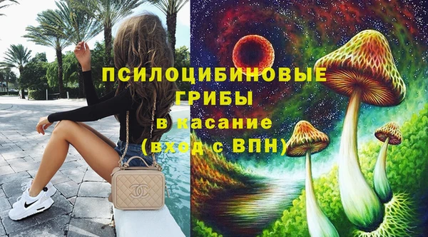 мяу мяу мука Алексин