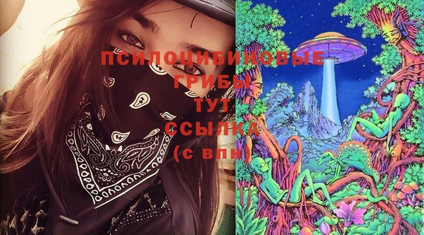 дмт Алексеевка