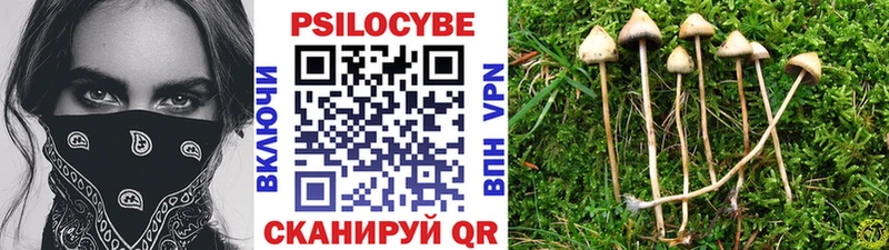 гидра вход Кохма Галлюциногенные грибы GOLDEN TEACHER
