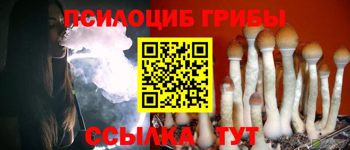 Галлюциногенные грибы Psilocybine cubensis  Вход с VPN  Галлюциногенные грибы Psilocybe  Кохма 