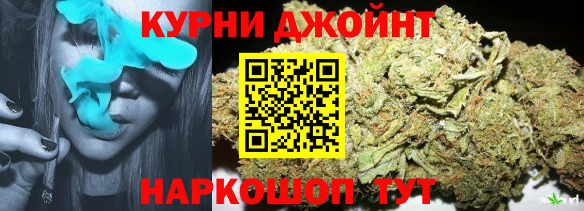 Марихуана индика Кохма